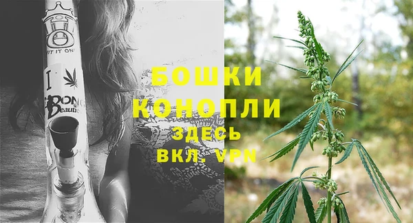 прущая мука Шали
