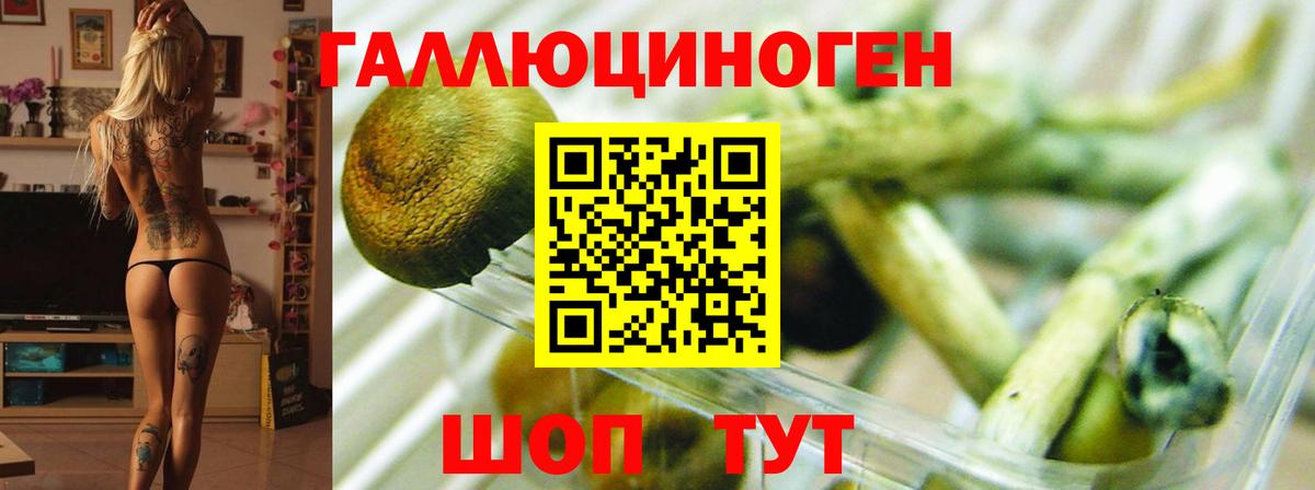 Галлюциногенные грибы Cubensis  Псилоцибиновые грибы Psilocybe  Златоуст  Вход с VPN 